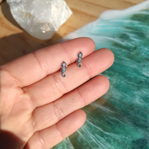 Aros Caballitos de Mar