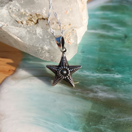Colgante Estrella de Mar Pentaster